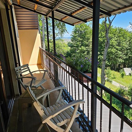 Gorska Vila Apartments 자블야크 외부 사진