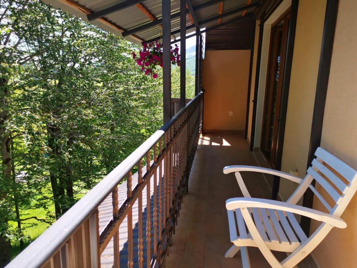 Gorska Vila Apartments 자블야크 외부 사진