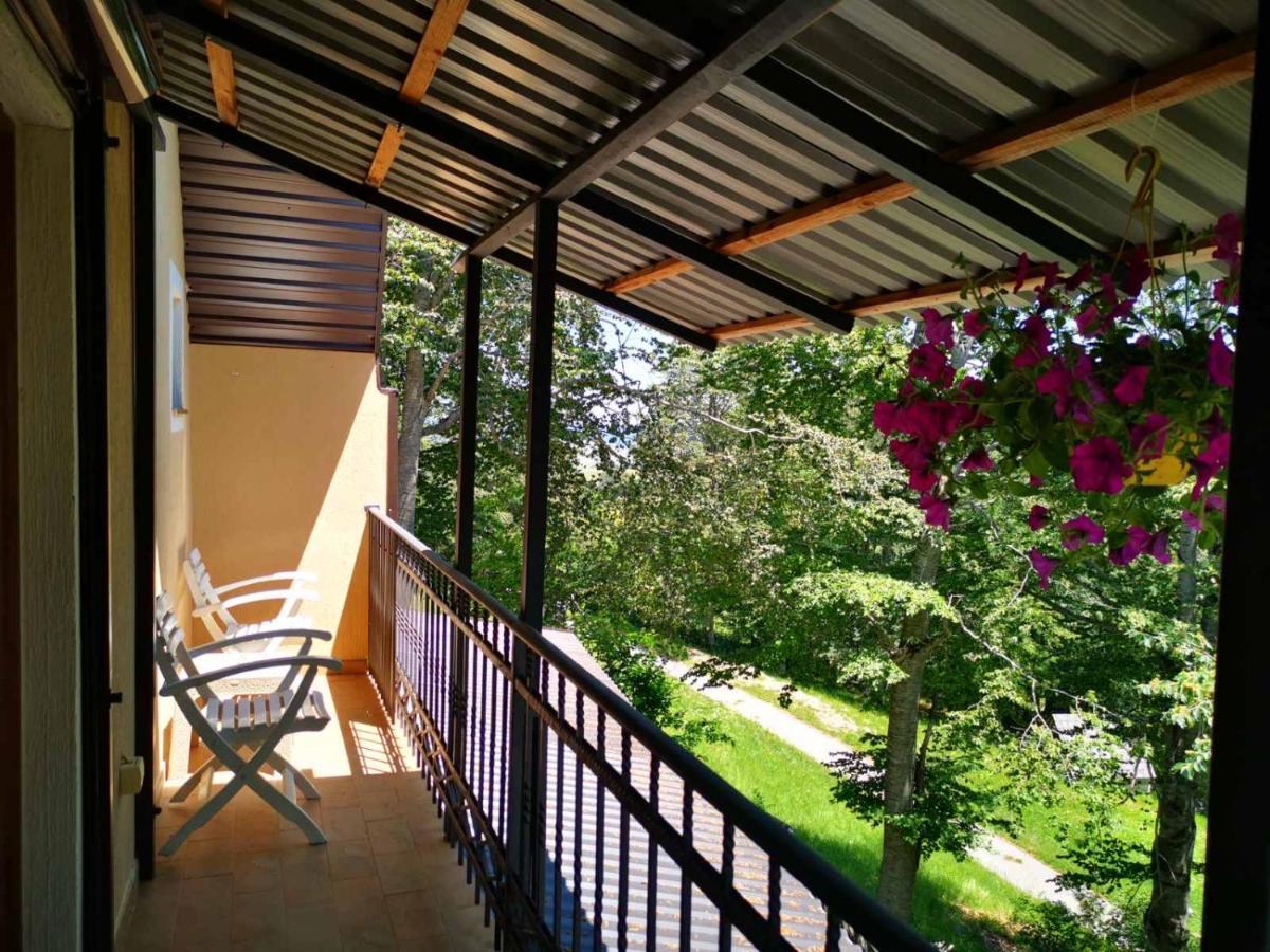 Gorska Vila Apartments 자블야크 외부 사진
