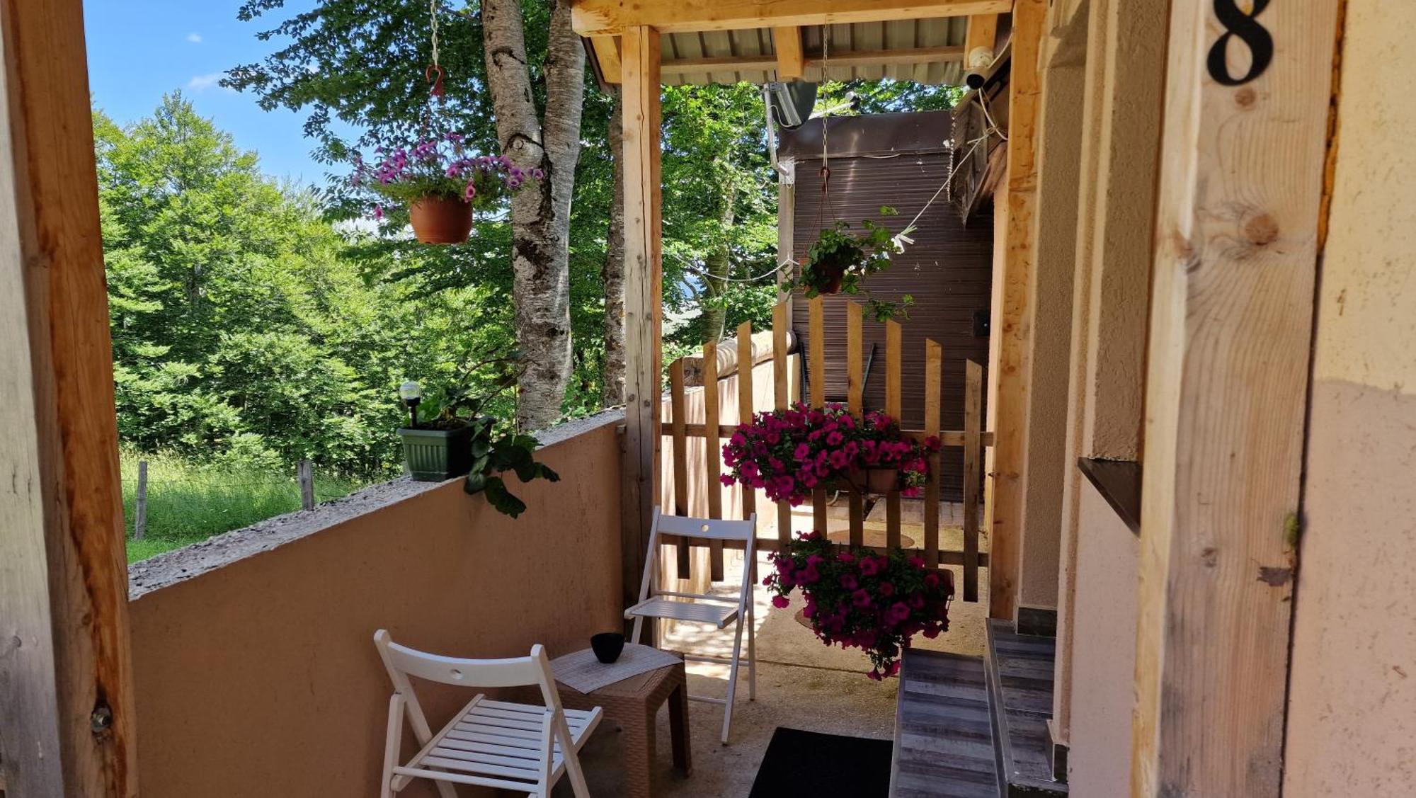 Gorska Vila Apartments 자블야크 외부 사진