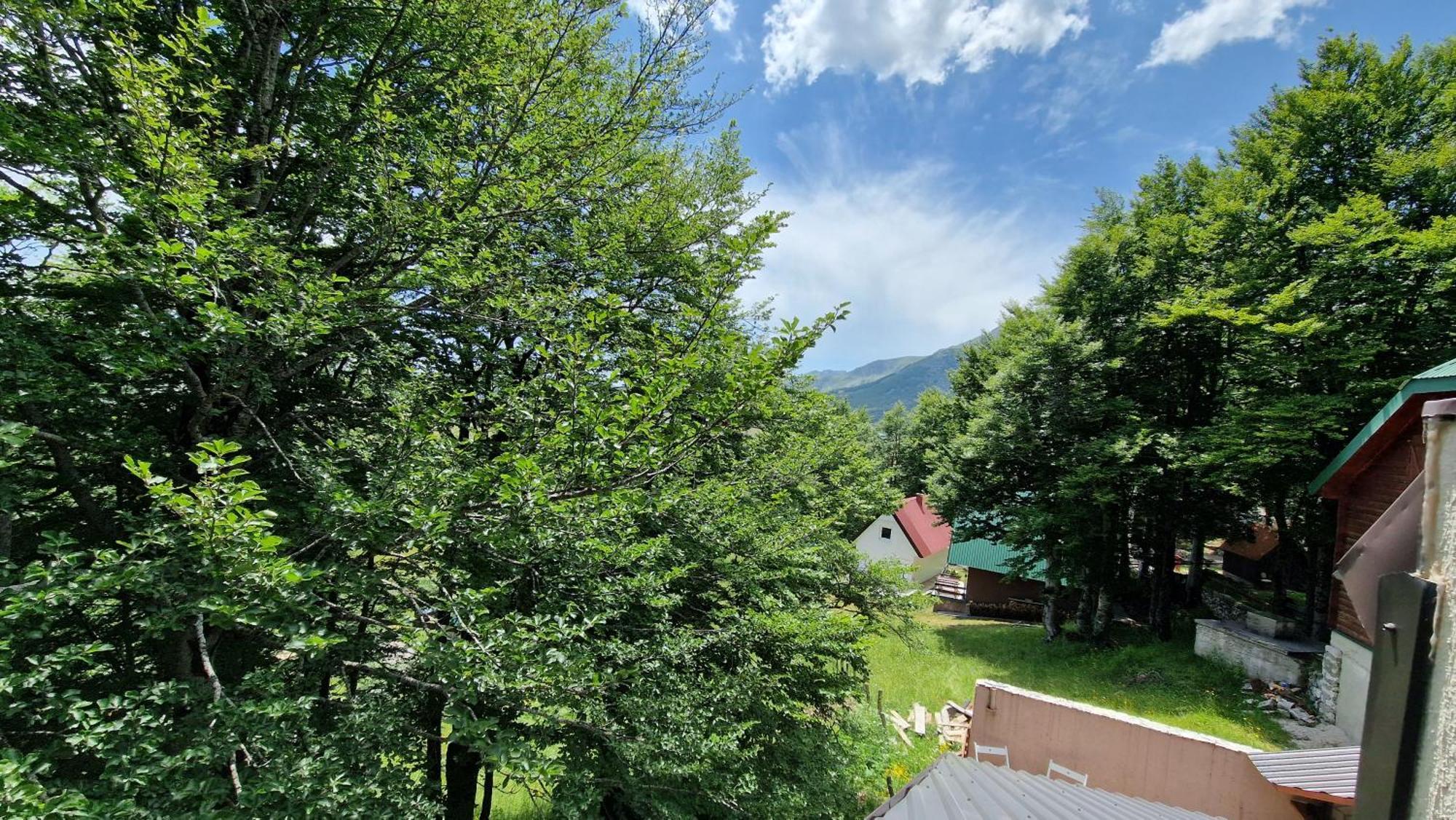 Gorska Vila Apartments 자블야크 객실 사진