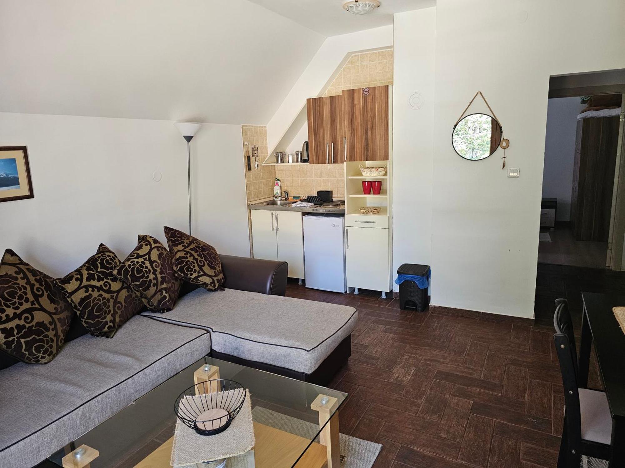 Gorska Vila Apartments 자블야크 외부 사진
